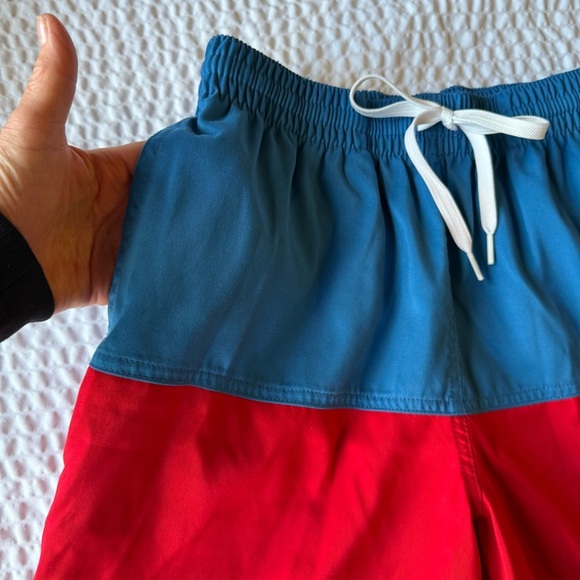 Chubbies Swim Shorts - Picture 2 of 9